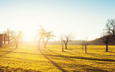 Een gangpad in de supermarkt met verschillende producten zoals blikken, flessen en schoonmaakmiddelen.